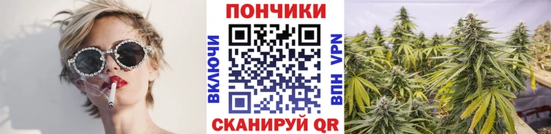 закладки  Южа  Каннабис индика 